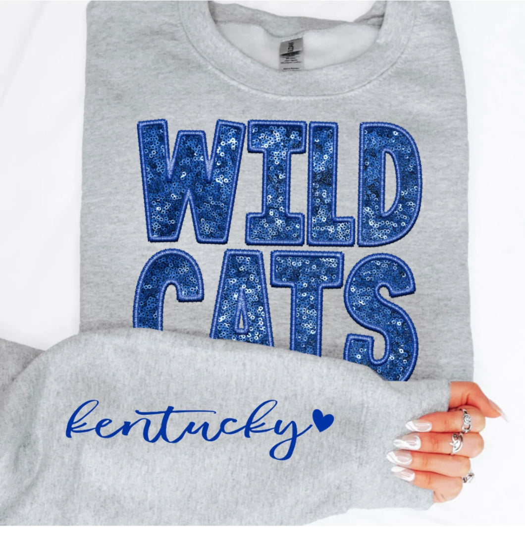 Wildcats (Sequins/Embroidery look) - DTF